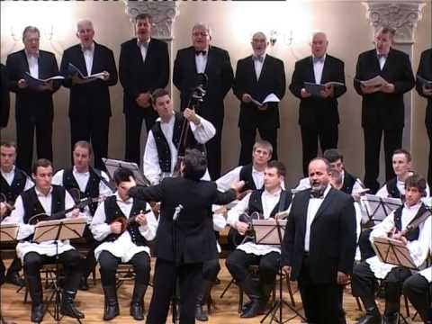 FA i MVA SKUD-a i IGK, Zagreb - "Spoved", Tamburaši, tambure vam vaše, HGZ, 2011