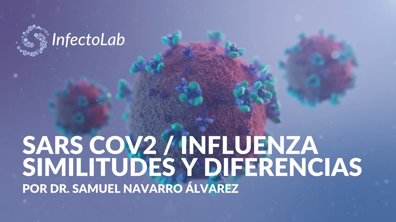 Samuel Navarro Alvarez-21