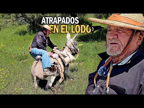 Los RIESGOS del terreno PANTANOSO
