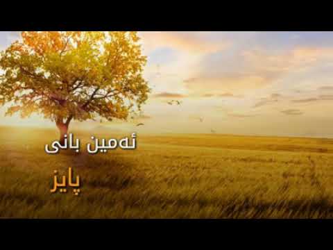 Amin Bani Paiz  ٸەمین بانی پایز واتا خەمێکی تر