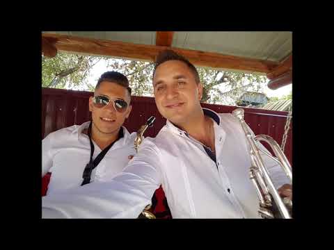 Gheorghe Puha & Cosmin Croitor & Vasile Cazac - program instrumental live la nunta