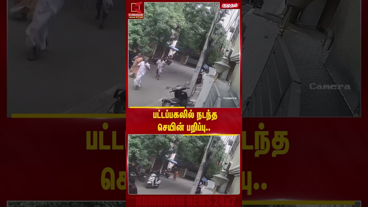 பட்டப்பகலில் நடந்த செயின் பறிப்பு.. திக்.. திக்.. காட்சி | Chennai | Chain Snatch | Viral Video