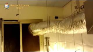 maxi-piantagione-di-marijuana-a-villaricca