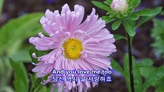 Download lagu And I Love You So - Don McLean: with Lyrics(가사번역) || Denver Botanic Gardens on July 8, 2017 mp3 Download lagu And I Love You So - Don McLean: with Lyrics(가사번역) || Denver Botanic Gardens on July 8, 2017 mp3
