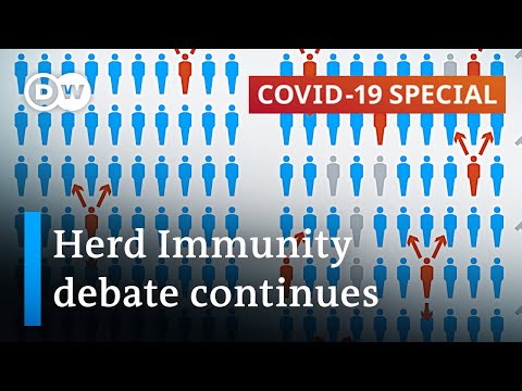 Experts argue about herd immunity as a strategy in the fight against coronavirus | COVID-19 Special
