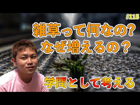 主な雑草のリスト - 定義