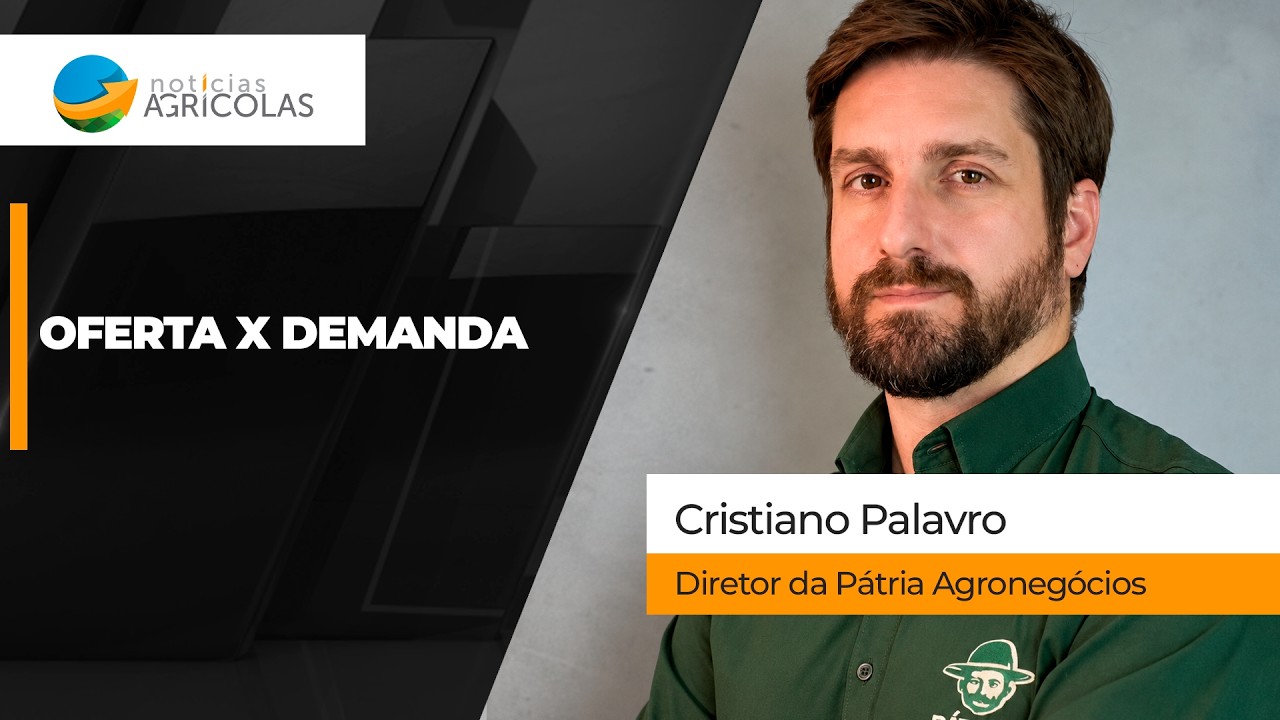 Oferta pesa mais do demanda e soja emenda 4º pregão consecutivo de desvalorização em Chicago
