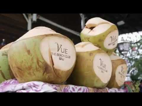 SASH Bali 2019 - Rossko