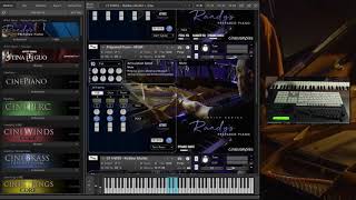 Video thumbnail for Randy's Prepared Piano Walkthrough by Cinesamples