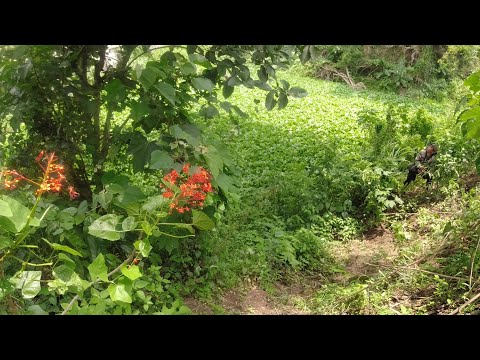 SE03EP080 Part 2 - KAHIT BUTAS ng KARAYOM PAPASUKIN KO! SAN ISIDRO | Province of Quezon