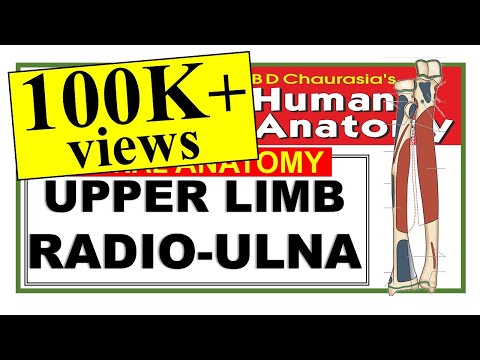 Chp2 | RADIO-ULNA | Upper Limb Bones | RADIUS | ULNA | BD Chaurasia Anatomy | Dr Asif Lectures