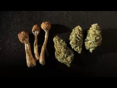 KxrpZ (GREATEST HITS) rare tracks *2019* @kxrpz1