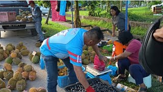 Download lagu LEMAI TU NGALU KE PASAR NGIGA UTAI KEDEKA NYAWA mp3