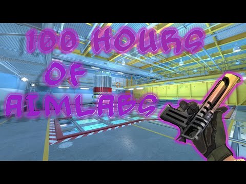 What 100 Hours Of Aimlabs Looks Like...