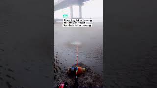Download lagu Mancing bikin tenang di tambah hujan jadi makin tenang #fishing #mancingmantap #udanggalah #mancing mp3