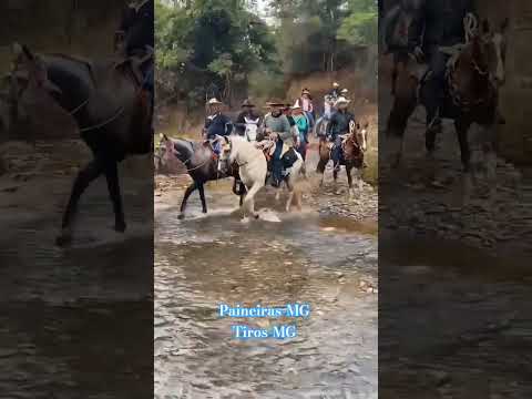 🤠 Amigos Cavaleiros Paineiras-MG fortalecem laços de amizade em emocionante cavalgada até Tiros-MG