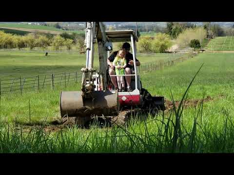 Bodhi-Ray playing on Excavator