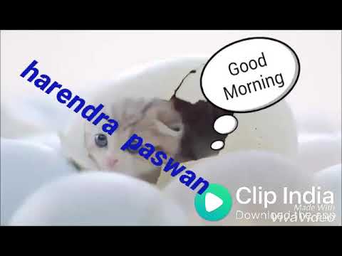 Harendra  Paswan 123