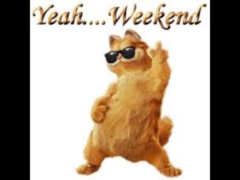 OMG So Cute Cats ♥ Best Funny Cat Videos 2021 | shubra playing time |