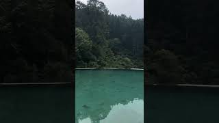 Download lagu suasana syahdu di forest kopi - Batang, Jawa Tengah mp3