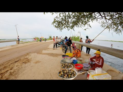 Cambodia’s Best Street Food Compilation, Traditional Net Fishing, Countryside Market Tour, & More