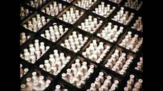 New Seeds - Boards Of Canada