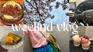 【週末vlog】マイカー納車🚗/春服で鎌倉ドライブ🌸/週末自炊ごはん🍴