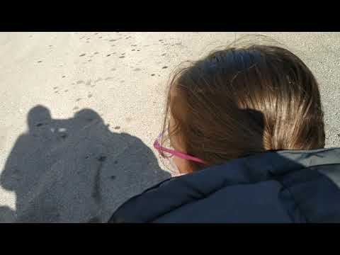 okula gidiyoruz#cocukvideosu