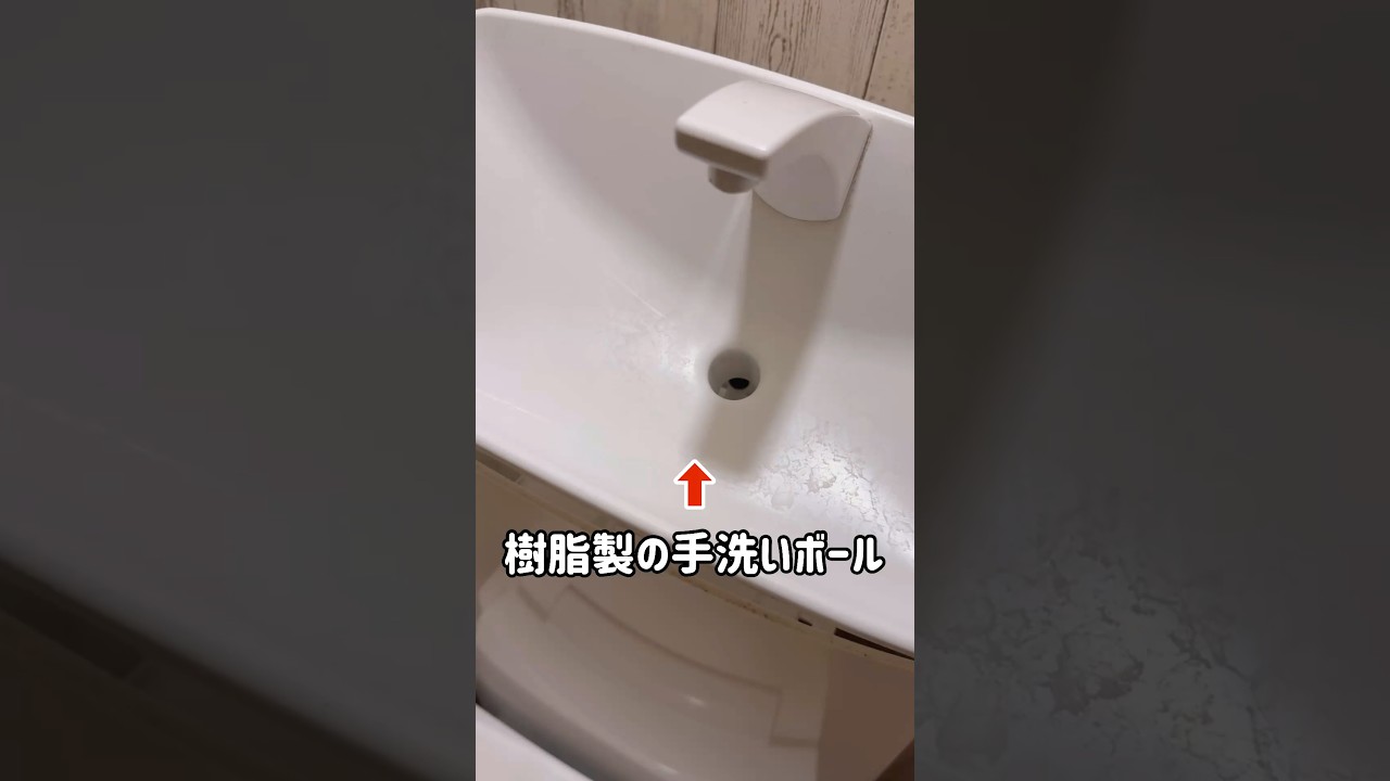 【樹脂製】手洗いボールをサンポールでキレイに