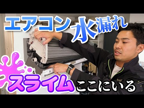 水浸し: 原因と予防 トピックス