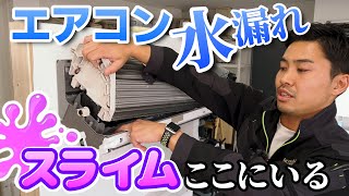 Re: [冷氣] 冷氣出風口漏水