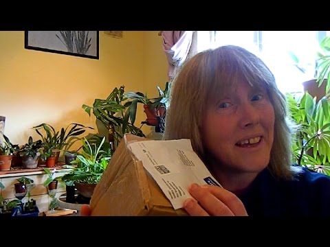 1. European Orchid Project  - unboxing