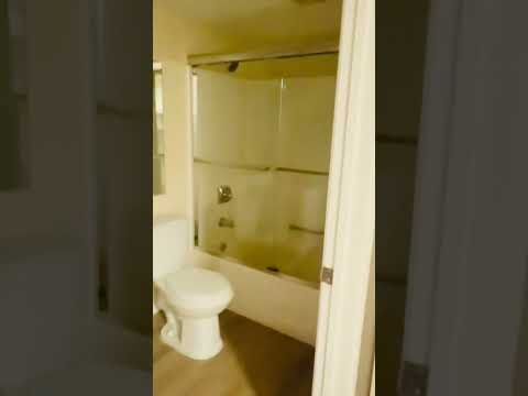 Sylvan - Video 2 of 2