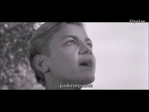 klipid.ee - Lilled, heinamaa, päikesepaiste - Kevade 1970