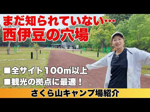 【さくら山キャンプ場】全サイト100㎡以上、絶景広がる高規格の新しい穴場キャンプ場/西伊豆観光の拠点に最適