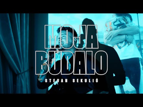 STEVAN SEKULIC - MOJA BUDALO (OFFICIAL VIDEO 2023)