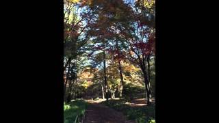 朝のエントランス