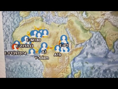 Family Tree DNA Big Y-700 Globetrekker Migration