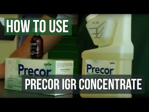 How to use Precor IGR Insect Growth Regulator Flea Spray