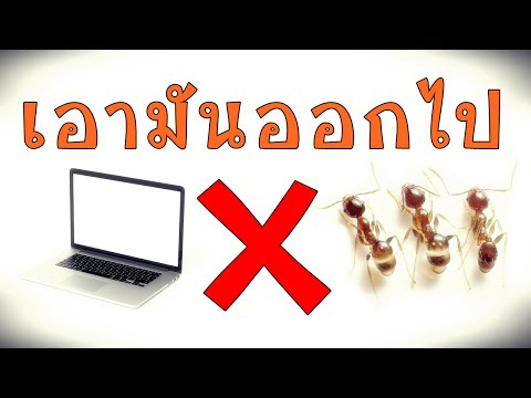 คลิกเพื่อดูคลิปวิดีโอ