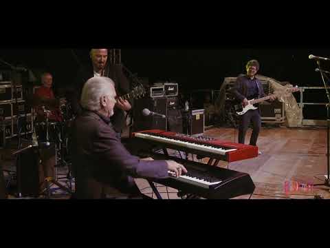 22° BRUDSTOCK - ANIMALS AND FRIENDS