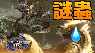 翔蟲の扱いがヘタクソすぎてラスボスにボコボコにされました【モンスターハンターライズ/モンスターハンターRISE】