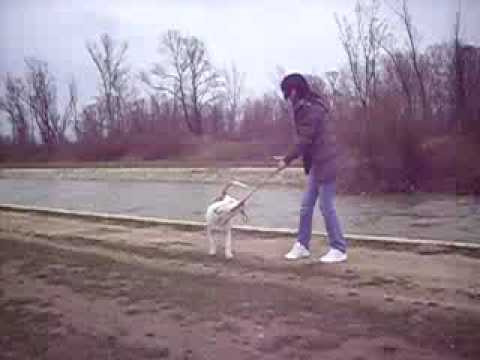 Kairos VS Nikoleta In Thug War