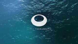 Maple Syrup  - Paris