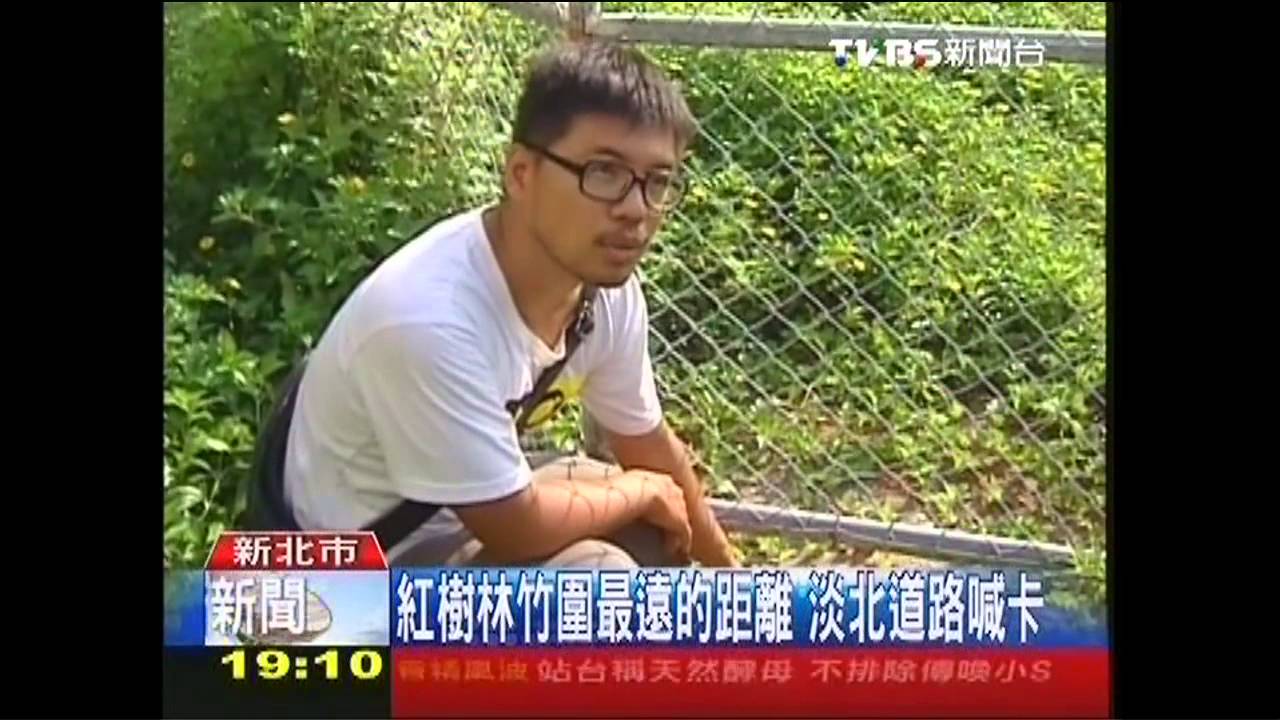 離紅樹林1公分! 淡北道路環評遭撤銷