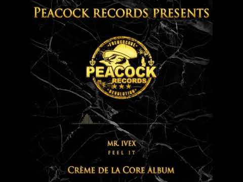 Mr. Ivex - Feel It