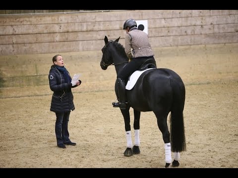 STUTTGART GERMAN MASTERS: Trainingsabend mit „Dressur-Königin“ Isabell Werth