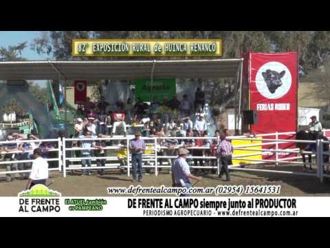DE FRENTE AL CAMPO junto a la 82° EXPOSICIÓN RURAL de HUINCA RENANCÓ -REMATE -