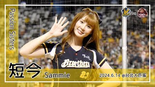 【台湾チア】短今 Sammie | Passion Sisters | 進撃取勝 + 林吳晉瑋,岳東華,張志豪 應援曲 [中文歌詞]