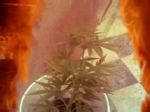 Martin Alderete cantante de REACCIONARIOS